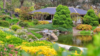 Japanese Garden - Cowra 